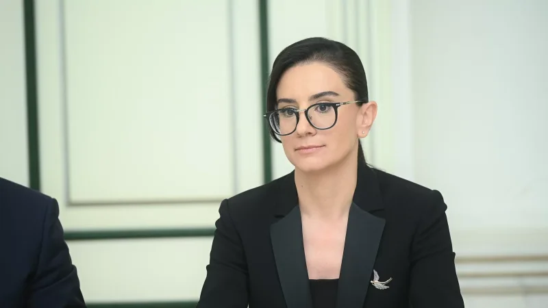 Աննա Վարդապետյանը Ստրասբուրգում ներկայացրել է Ադրբեջանի սադրիչ և ագրեսիվ գործողությունները