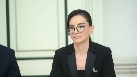 Աննա Վարդապետյանը Ստրասբուրգում ներկայացրել է Ադրբեջանի սադրիչ և ագրեսիվ գործողությունները