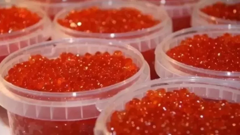 Վեց ամսով ՀՀ տարածքից սիգի ձկնկիթի արտահանման արգելք կսահմանվի