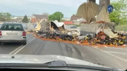 ՏԵՍԱՆՅՈՒԹ․ Մայրուղու վրա ծիրան տեղափոխող բեռնատար է շրջվել․ ՌԴ