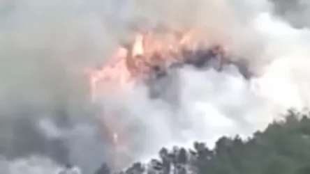 ՏԵՍԱՆՅՈՒԹ․ Խոշոր հրդեհ՝ Boeing 737 ուղևորատար ինքնաթիռի կործանման վայրում