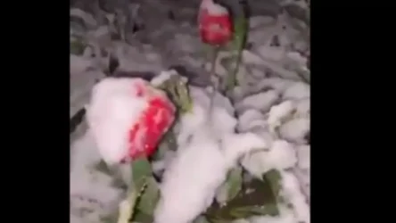 ՏԵՍԱՆՅՈՒԹ․ Ու կրկին մայիսյան ձյուն. Սուրենյան