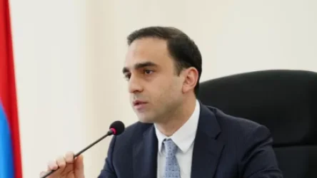 ՏԵՍԱՆՅՈՒԹ. Նորմալ չի, որ շաբաթով, ամսով փոսը փորված է, որևէ բան տեղի չի ունենում. Ավինյան