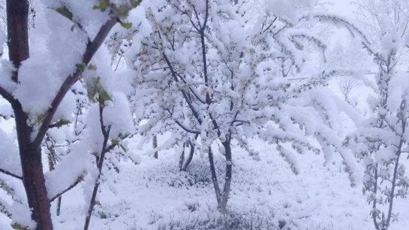 Ձյան ծածկի բարձրությունն առանձին բնակավայրերում կազմել է 15-20 սմ