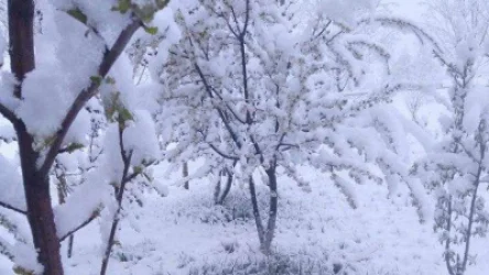 Ձյան ծածկի բարձրությունն առանձին բնակավայրերում կազմել է 15-20 սմ