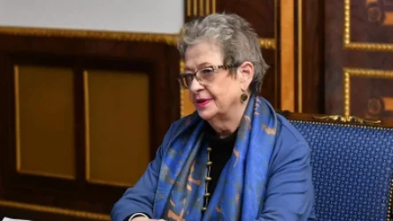 «Երկու կողմերն էլ զորքերը պետք է հանեն միմյանց տարածքներից»․ ԵՄ դեսպան