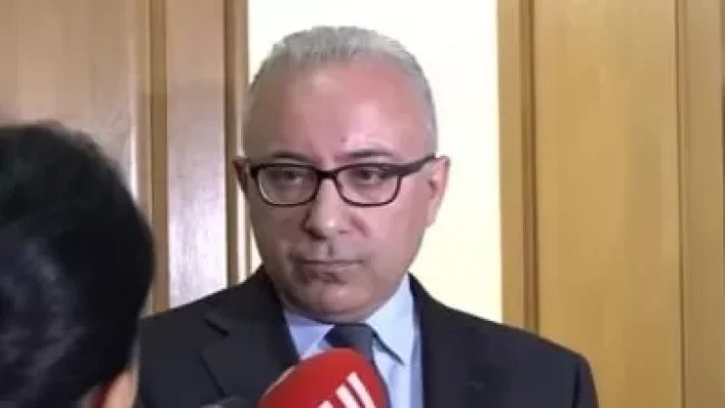 Խաղաղության նախագիծը ոչ բրյուսելյան է, ոչ էլ մոսկովյան, այն մշակել են երկու կողմերը. ԱԳ փոխնախարար