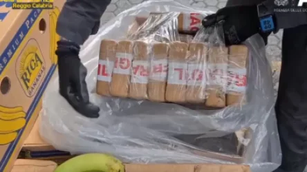 ՊԵԿ-ը՝ ՀՀ ուղևորվող 3 տոննա կոկաինի մասին