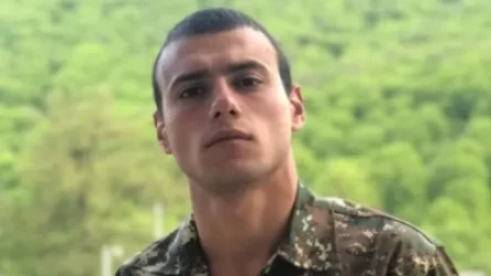 Ալբերտը զորակոչվել էր բանակ 1 տարի 3 ամիս առաջ, տան միակ որդին էր