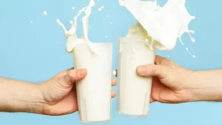 «Կաթը, որի մեկ տուփը գնում էի 415 դրամով, առավոտյան գնել եմ 480 դրամով». Արթուր Խաչատրյան