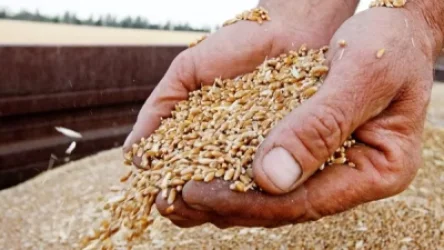 Էկոնոմիկայի նախարարությունը հայտնում է, որ Հայաստանը հացահատիկի խնդիր չի՞ ունենա. Sputnik Արմենիա