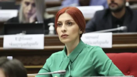 Գաղտնի վայրում պարկ տեղադրելը արժե 5-6 դոլար. Ագնեսա Խամոյանը` թմրանյութերի մասին