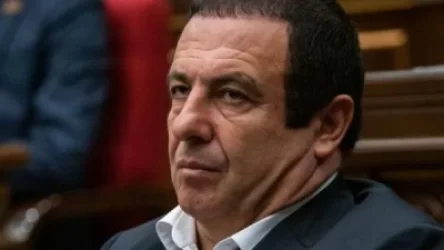 ՏԵՍԱՆՅՈՒԹ․ Ծառուկյանը մեկ ամիս ժամանակ տվեց