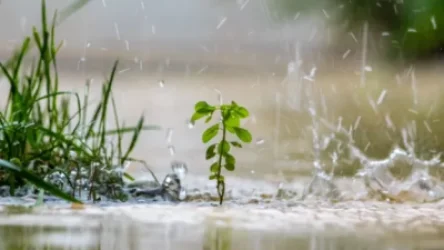 Սպասվում են տեղումներ. առաջիկա օրերի եղանակը