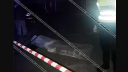 Ողբերգական դեպք Երևանում. շենքի բակում հայտնաբերվել է երիտասարդ տղայի դի. Shamshyan. com