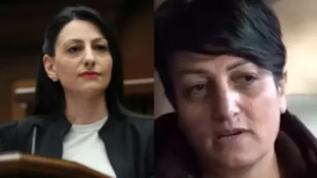 ՄԻՊ-ը այցելել և առանձնազրույց է ունեցել զոհված զինծառայողի մայր Գայանե Մարտիրոսյանի հետ