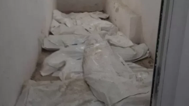 Դիերի պահման պայմանների համար ո՞վ է ազատվել աշխատանքից և ո՞վ պաշտոն ստացել․ ԱՆ պարզաբանում