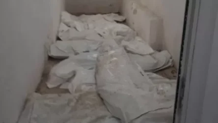 Դիերի պահման պայմանների համար ո՞վ է ազատվել աշխատանքից և ո՞վ պաշտոն ստացել․ ԱՆ պարզաբանում