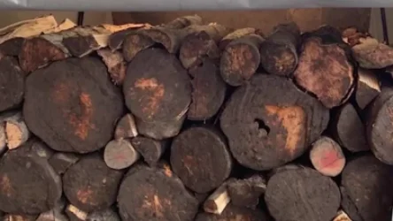 ՏԵՍԱՆՅՈՒԹ. Գեղարքունիքի պարեկները փայտանյութով բեռնված մեքենաներ են հայտնաբերել