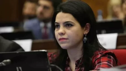 ԼՂ հարցը կրկին միջազգայնացվեց, Ադրբեջանը հավանաբար այլ բանի հույս ուներ. Հայրապետյան