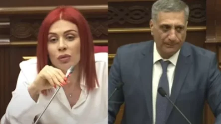 ՏԵՍԱՆՅՈՒԹ. Նախորդ իշխանությունների մեծագույն սխալներից մեկն է, որ պարգևել են Ձեզ նման դատավոր․ Խամոյան