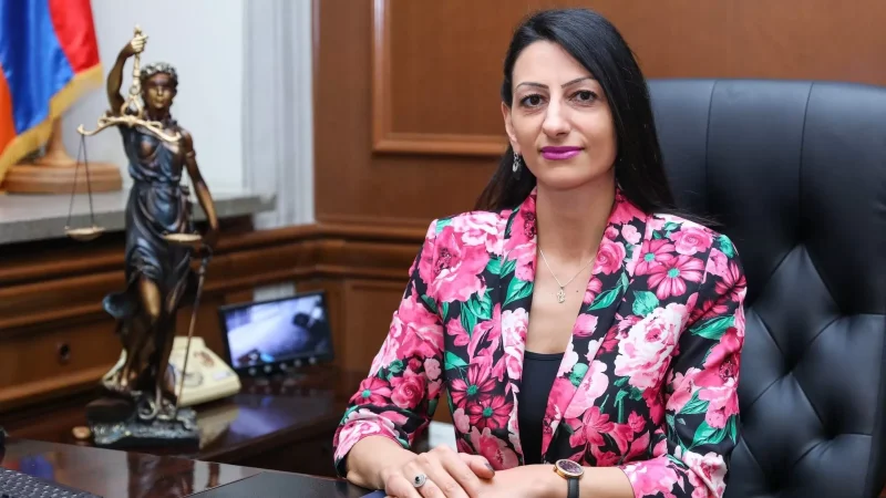 Ձեռնպահ կմնամ դատական ակտի մասին տեսակետ ներկայացնելուց․ ՄԻՊ-ը՝ Գայանե Հակոբյանի կալանավորման մասին