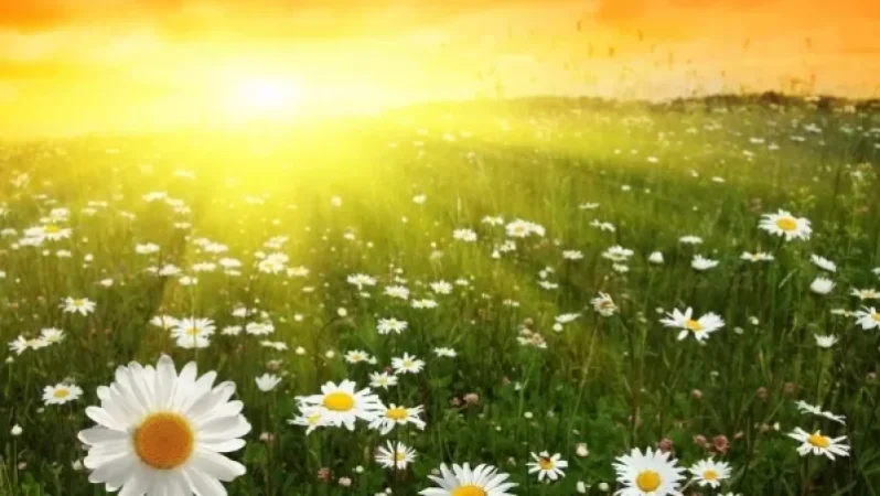 ԵՂԱՆԱԿ. Օդի ջերմաստիճանը կբարձրանա