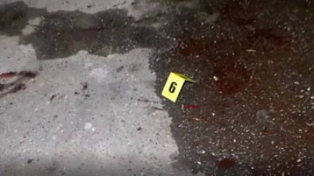 Մանրամասներ՝ Մալաթիա-Սեբաստիայում օգոստոսի 7-ին տեղի ունեցած սպանությունից. ինչ է հայտնի