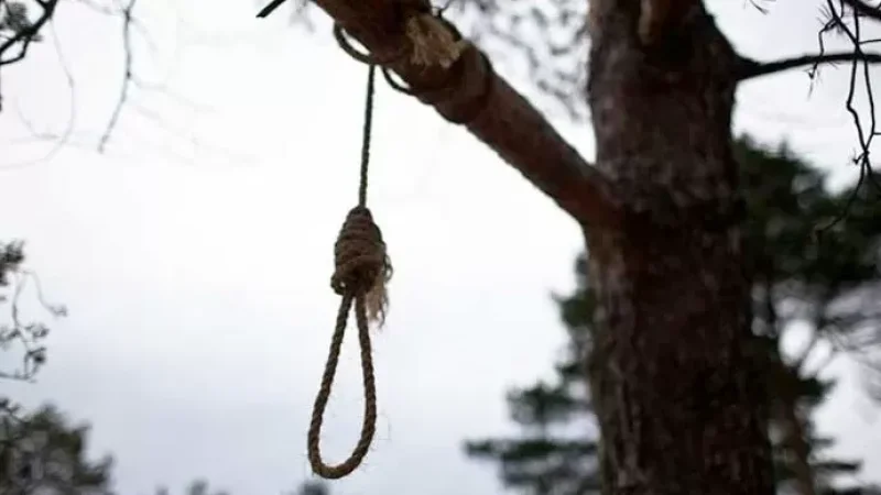 Տավուշում ծառից կախված 17-ամյա աղջկա դի է հայտնաբերվել. մորը նամակ է թողել