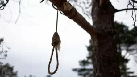 Տավուշում ծառից կախված 17-ամյա աղջկա դի է հայտնաբերվել. մորը նամակ է թողել