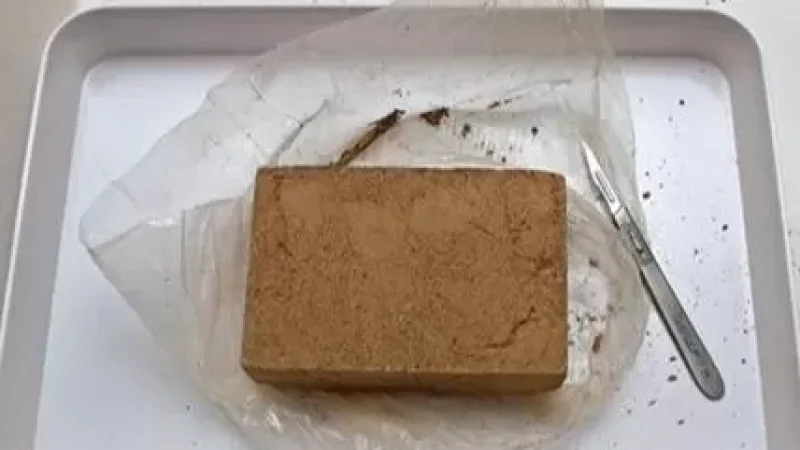 Վրաստանում իրանցի է ձերբակալվել․ վերջինս փորձել է Հայաստանի տարածքով Եվրոպա հերոին տեղափոխել