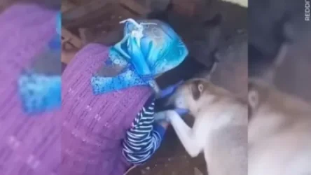 ՏԵՍԱՆՅՈՒԹ. Շունը շնորհակալություն է հայտնել ձագերին կերակրող կնոջը