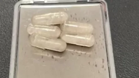 ՏԵՍԱՆՅՈՒԹ․ ԱՄՆ-ից Հայաստան ներմուծված միջազգային փոստային առաքանու միջից հայտնաբերվել են թմրամիջոցներ