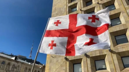 Վրաստանի դեսպանը Կիևից կվերադառնա Թբիլիսի