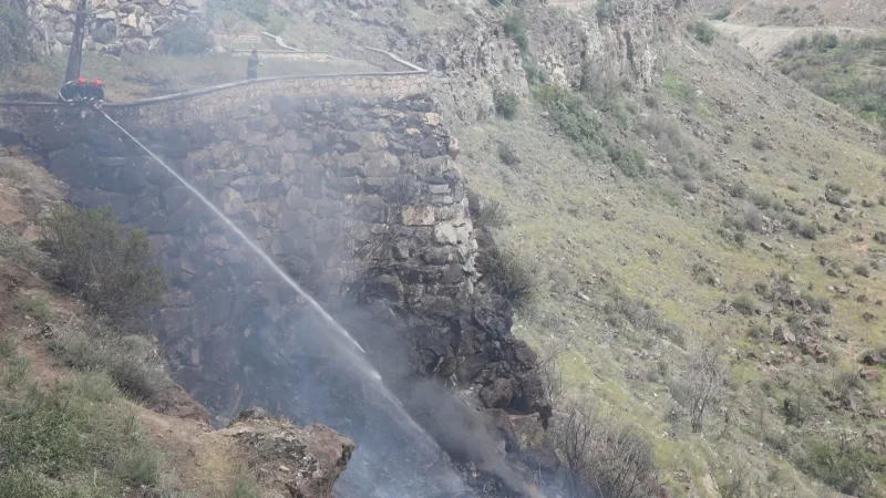 Photos: About 3000 sqm of vegetation burned in Davtashen Gorge 1 district