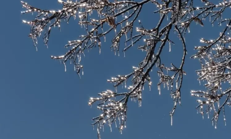 Ջերմաստիճանը կբարձրանա