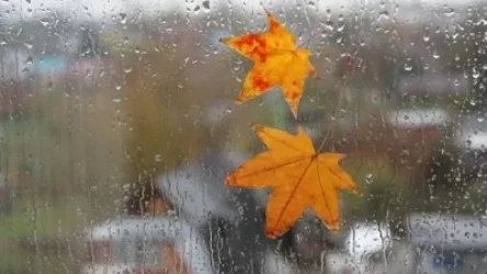 Սպասվում է անձրև և ամպրոպ․ առաջիկա օրերի եղանակը