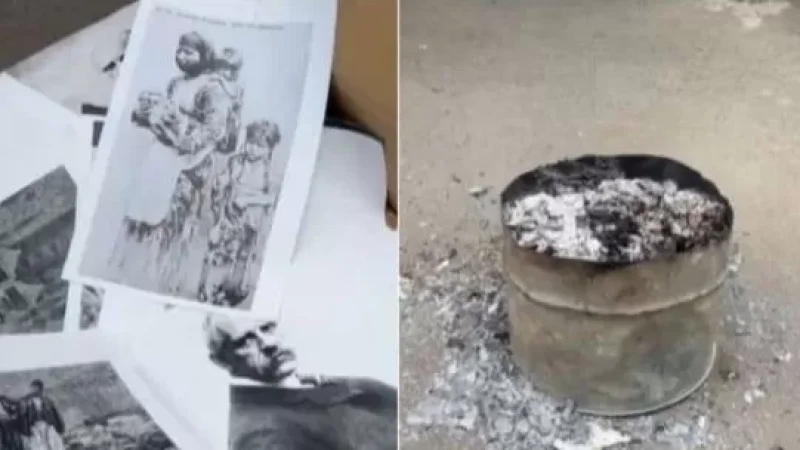 Հայկ Դեմոյանը մանրամասներ է ներկայացրել Ծիծեռնակաբերդի զբոսայգում տեղի ունեցած միջադեպից