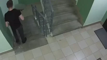 18+. ՏԵՍԱՆՅՈՒԹ. Տղամարդը ծեծելով սատկացրել է իր ընկերուհու շանը. ՌԴ