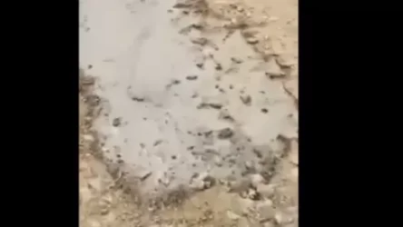 ՏԵՍԱՆՅՈՒԹ․ Կեղտաջրերը Արաքս գետ չե՞ն լցվել. պարզաբանում