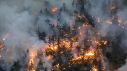 ՏԵՍԱՆՅՈՒԹ․ Կանադայի անտառային հրդեհները շարունակվում են․ տարհանվել է 16 հազար մարդ