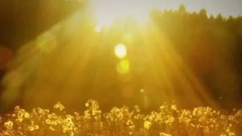 Օդի ջերմաստիճանը կբարձրանա 2-3 աստիճանով․ բարձր կարգի հրդեհավտանգ իրավիճակը կպահպանվի