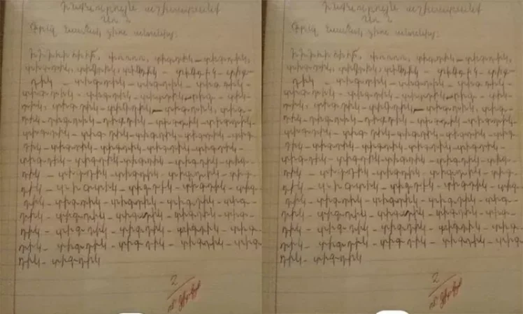 Գրել նամակ ձիու անունից. 3-րդ դասարանցու ինքնուրույն աշխատանքը