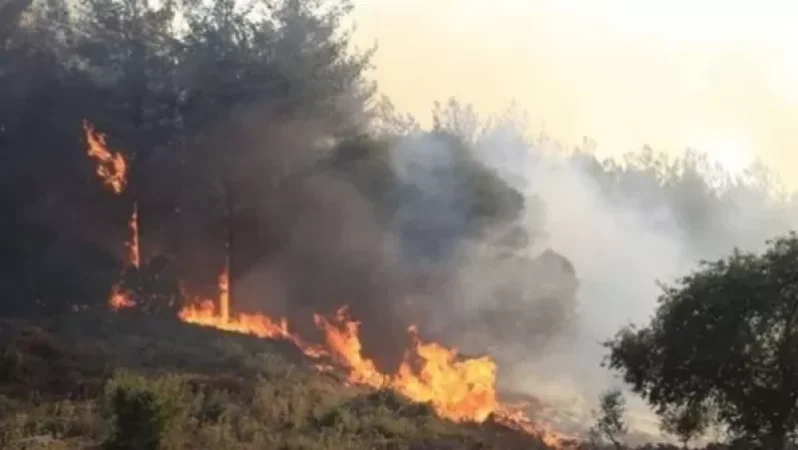 Ադրբեջանում կրկին անտառային հրդեհ է բռնկվել. կրակի մարման աշխատանքներին ուղղաթիռ է ներգրավվել