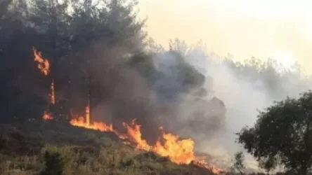 Ադրբեջանում կրկին անտառային հրդեհ է բռնկվել. կրակի մարման աշխատանքներին ուղղաթիռ է ներգրավվել