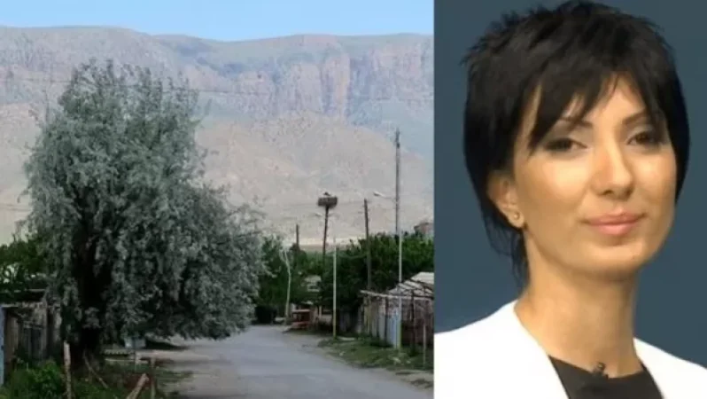 Առավոտյան 11։30-ից թշնամին ագրեսիվ կրակում է Արմաշի ձկնաբուծական լճերի և Սուրենավան գյուղի ուղղությամբ. Սյուզի Բադոյան