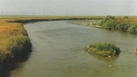 Արտակարգ դեպք՝ Սյունիքի մարզում․ վտանգավոր քիմիական նյութերը լցվել են Արաքս գետը