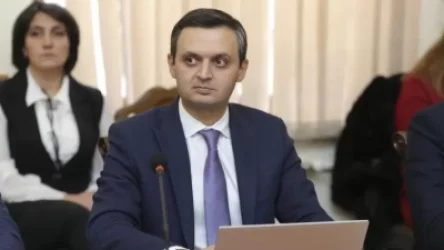 «Բարձր շահութաբերությամբ որոշ գործունեության տեսակներ դուրս կբերվեն միկրոձեռնարկատիրության ոլորտից». Փոխնախարար