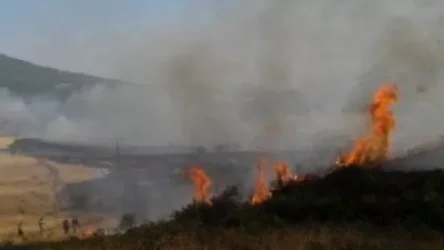 1100 բնակիչ տարհանվել է․ Չապնի և Սևաքար գյուղերում անօդաչու թռչող սարքերով հետազոտվել են հրդեհի օջախները