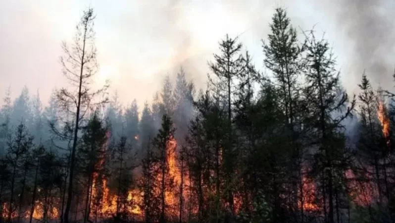 Ռուսաստանում անտառային հրդեհներ են մոլեգնում